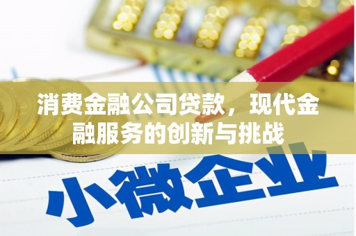 荔湾消费金融公司贷款，现代金融服务的创新与挑战