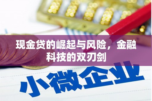 荔湾现金贷的崛起与风险，金融科技的双刃剑