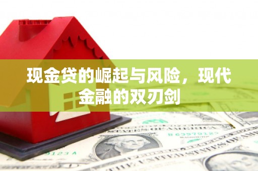 荔湾现金贷的崛起与风险，现代金融的双刃剑