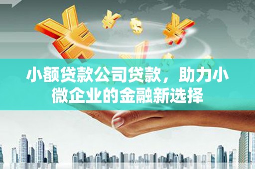 荔湾小额贷款公司贷款，助力小微企业的金融新选择