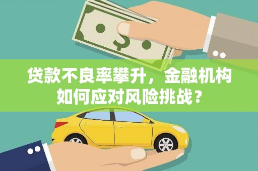 荔湾贷款不良率攀升，金融机构如何应对风险挑战？