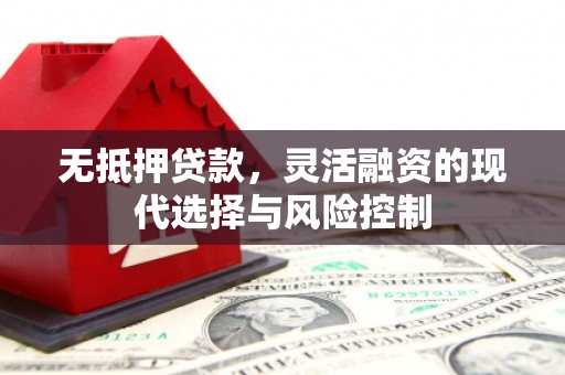 荔湾无抵押贷款，灵活融资的现代选择与风险控制