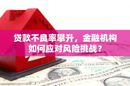荔湾贷款不良率攀升，金融机构如何应对风险挑战？