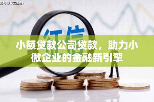 荔湾小额贷款公司贷款，助力小微企业的金融新引擎