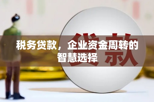 荔湾税务贷款，企业资金周转的智慧选择