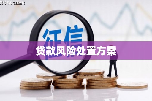 荔湾贷款风险处置方案