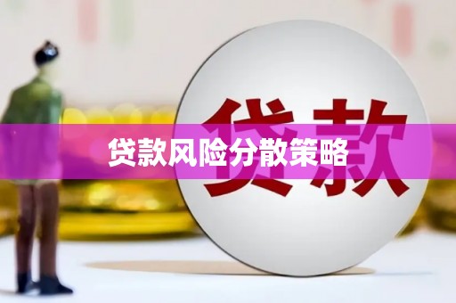 荔湾贷款风险分散策略