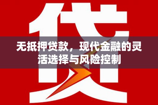 荔湾无抵押贷款，现代金融的灵活选择与风险控制
