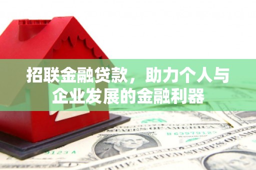 荔湾招联金融贷款，助力个人与企业发展的金融利器