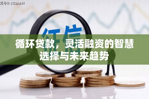 荔湾循环贷款，灵活融资的智慧选择与未来趋势