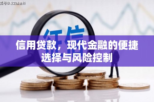 荔湾信用贷款，现代金融的便捷选择与风险控制