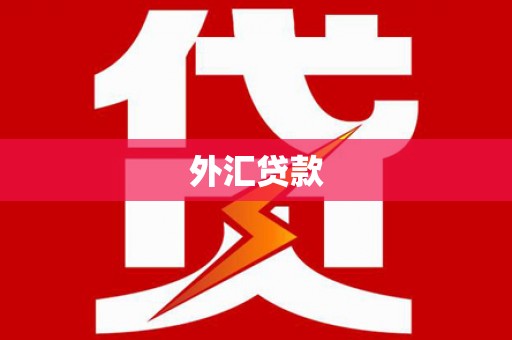 荔湾外汇贷款