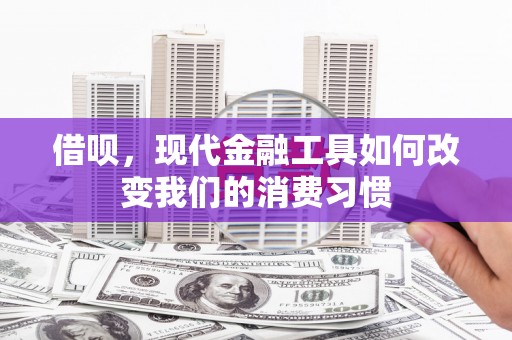 荔湾借呗，现代金融工具如何改变我们的消费习惯