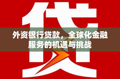 荔湾外资银行贷款，全球化金融服务的机遇与挑战