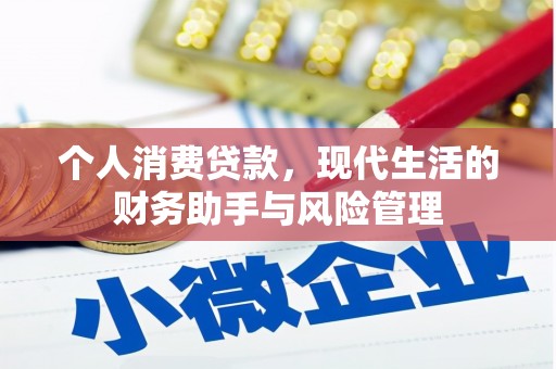 荔湾个人消费贷款，现代生活的财务助手与风险管理