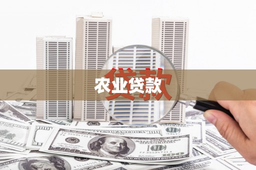荔湾农业贷款