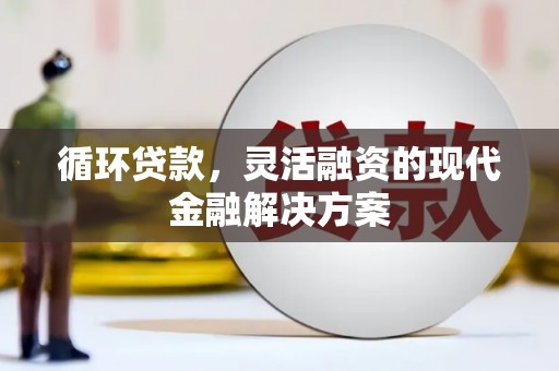 荔湾循环贷款，灵活融资的现代金融解决方案