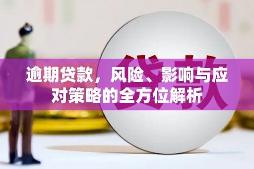 荔湾逾期贷款，风险、影响与应对策略的全方位解析