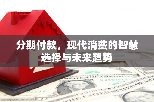 荔湾分期付款，现代消费的智慧选择与未来趋势
