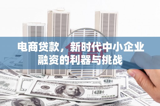 荔湾电商贷款，新时代中小企业融资的利器与挑战
