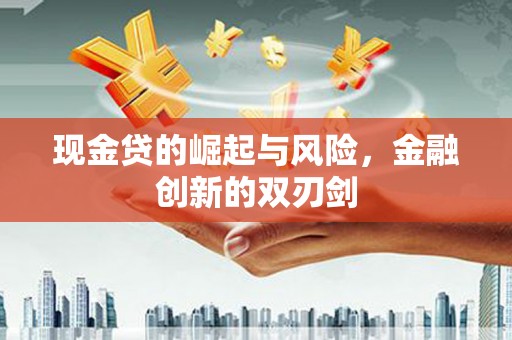 荔湾现金贷的崛起与风险，金融创新的双刃剑