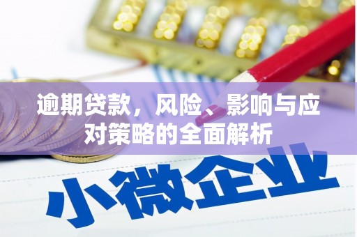 荔湾逾期贷款，风险、影响与应对策略的全面解析