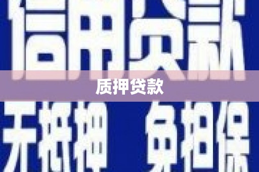 荔湾质押贷款