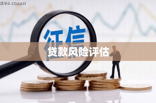 荔湾贷款风险评估