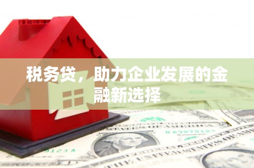 荔湾税务贷，助力企业发展的金融新选择