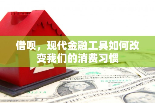 荔湾借呗，现代金融工具如何改变我们的消费习惯