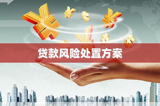 荔湾贷款风险处置方案