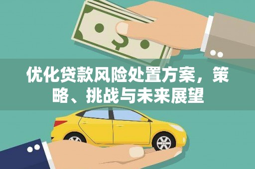 荔湾优化贷款风险处置方案，策略、挑战与未来展望