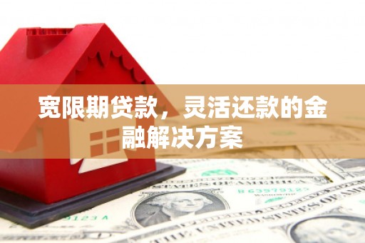 荔湾宽限期贷款，灵活还款的金融解决方案