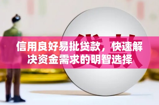 荔湾信用良好易批贷款，快速解决资金需求的明智选择