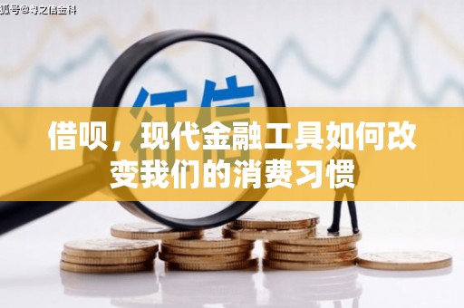 荔湾借呗，现代金融工具如何改变我们的消费习惯