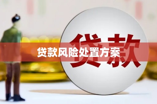 荔湾贷款风险处置方案