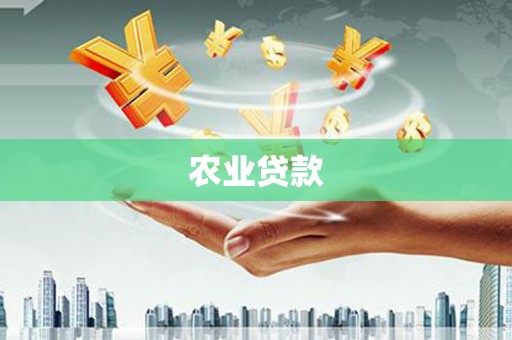 荔湾农业贷款