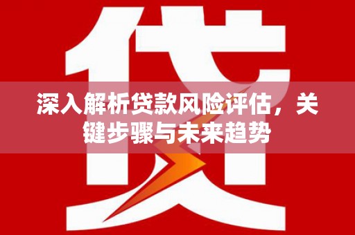荔湾深入解析贷款风险评估，关键步骤与未来趋势