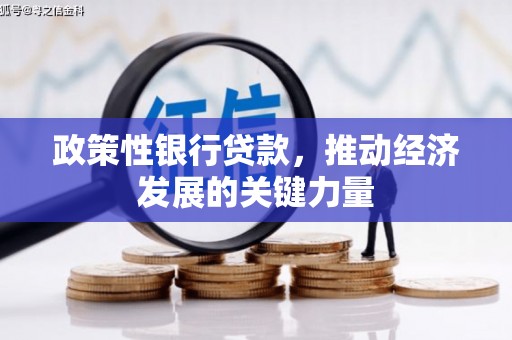 荔湾政策性银行贷款，推动经济发展的关键力量