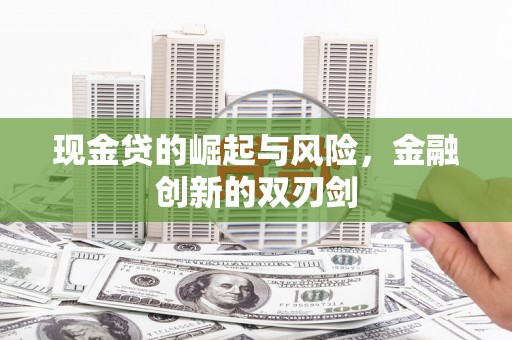 荔湾现金贷的崛起与风险，金融创新的双刃剑
