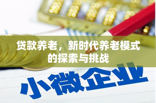 荔湾贷款养老，新时代养老模式的探索与挑战
