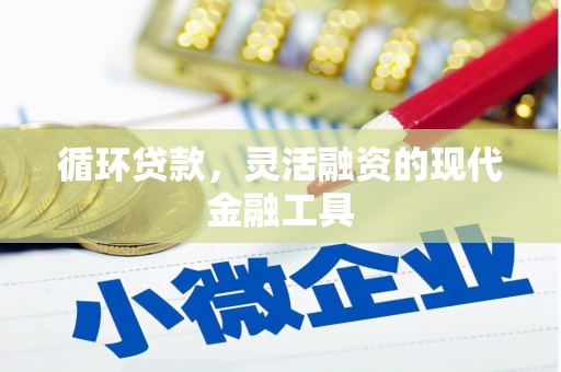 荔湾循环贷款，灵活融资的现代金融工具