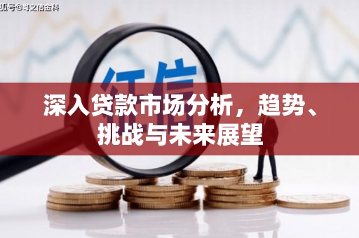 荔湾深入贷款市场分析，趋势、挑战与未来展望