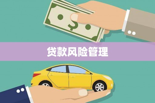 荔湾贷款风险管理