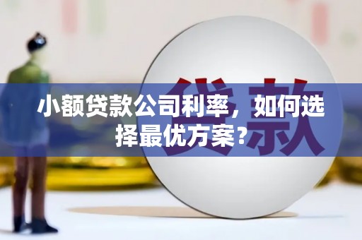 荔湾小额贷款公司利率，如何选择最优方案？