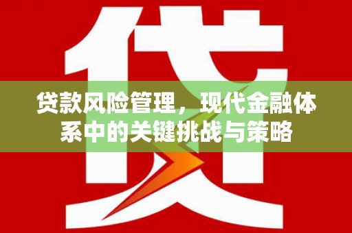 荔湾贷款风险管理，现代金融体系中的关键挑战与策略