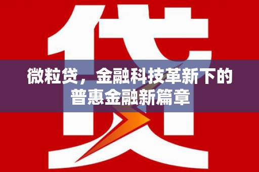 荔湾微粒贷，金融科技革新下的普惠金融新篇章