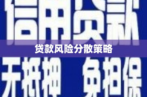 荔湾贷款风险分散策略