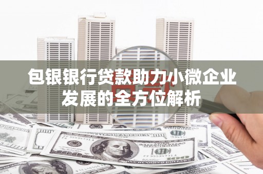 荔湾包银银行贷款助力小微企业发展的全方位解析