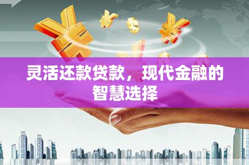 荔湾灵活还款贷款，现代金融的智慧选择